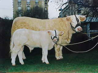 Cliquez sur la photo pour l'agrandir.