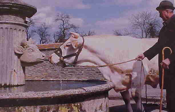 Noblesse &agrave; Saint-Andr&eacute;-en-Terre-Plaine.
