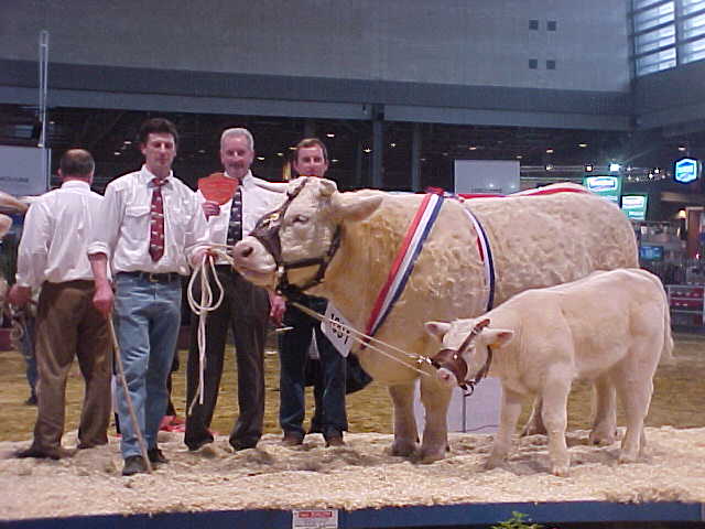 Noblesse Paris 2001