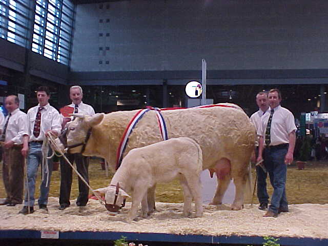 Noblesse &agrave; Paris 2001