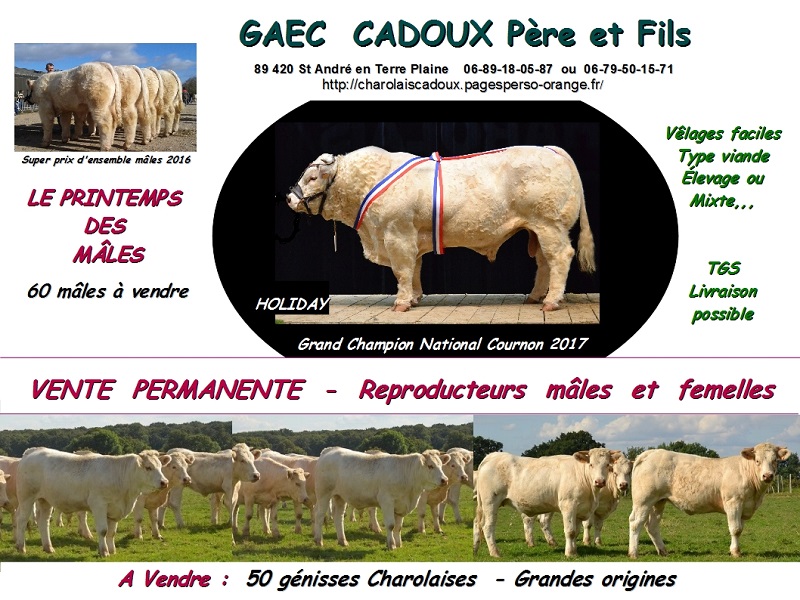 vente printemps 17