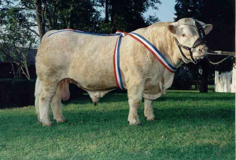 Pedro Marault 2001