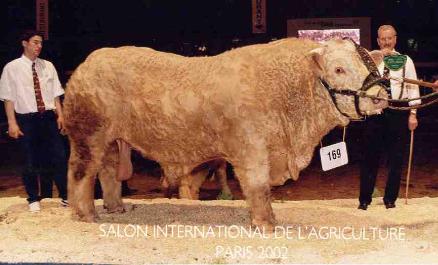 Pdro &agrave; Paris 2002