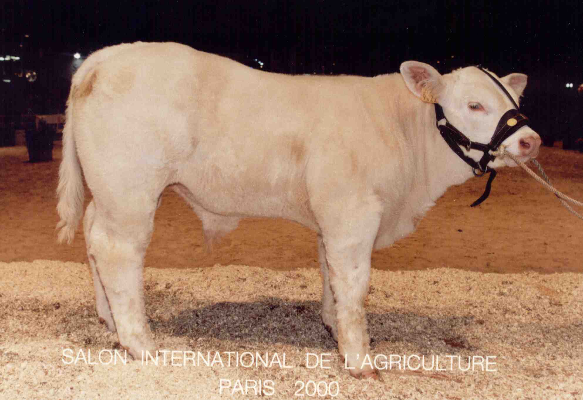 Prestigieux au salon international de l'agriculture &agrave; Paris (2001)