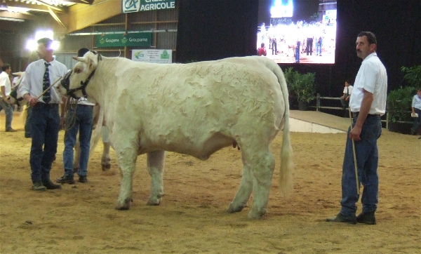 Ariane &agrave; Charolles 2007