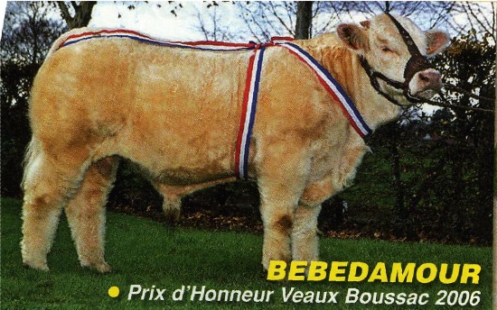 bebedamour