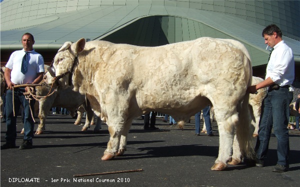 DIPLOMATE NATIONAL 2010