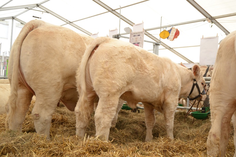 excellence et sa fille