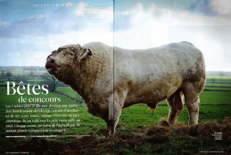 Le Figaro Magazine 21016