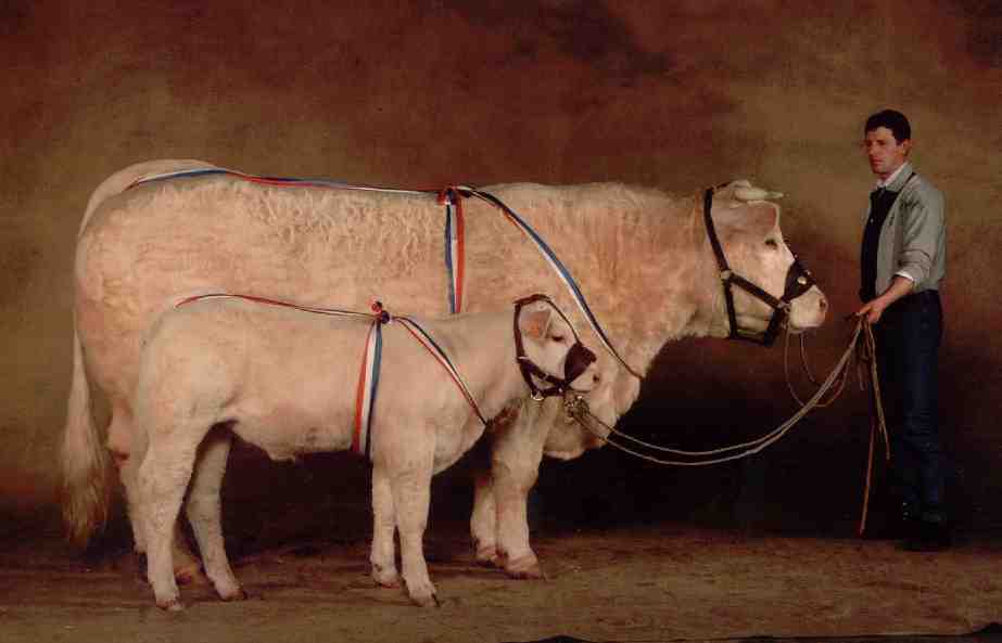 Noblesse et sa fille Toscane pr&eacute;sent&eacute;es par Claude Cadoux &agrave; Paris 2002