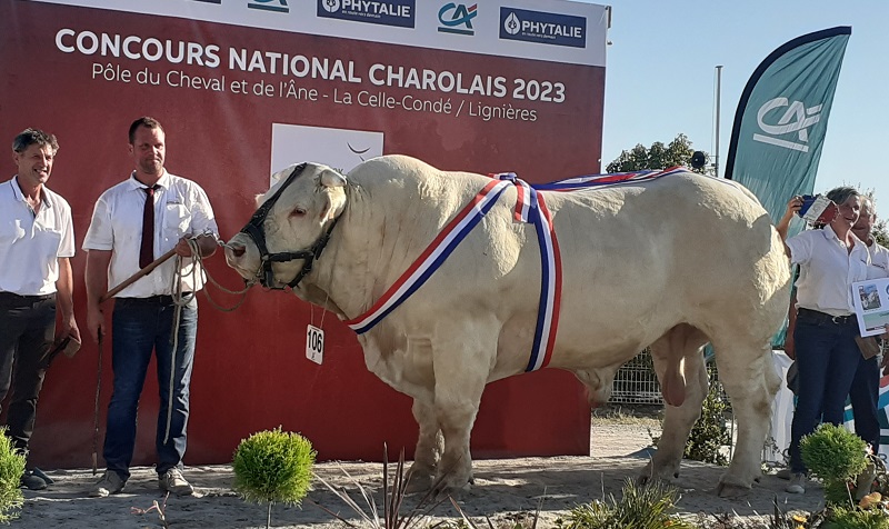 Grand champion National 2023