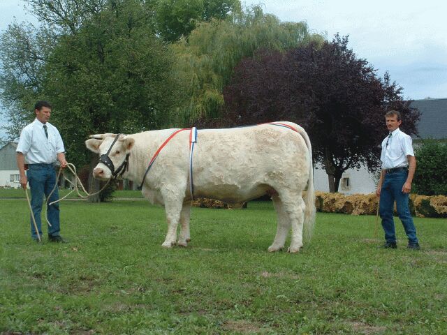 Royale au Marault 2003