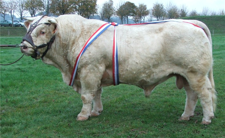 Titus &agrave; Semur en Auxois en 2005