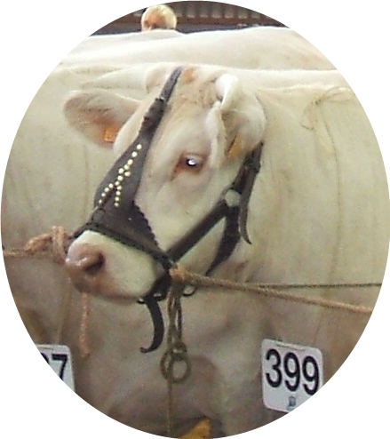 fille de Royale et Nelson