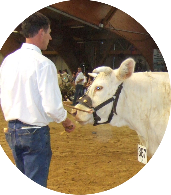 fille de Pedro et Martinique